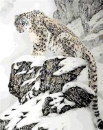 Leopard In Snow Paint By Numbers