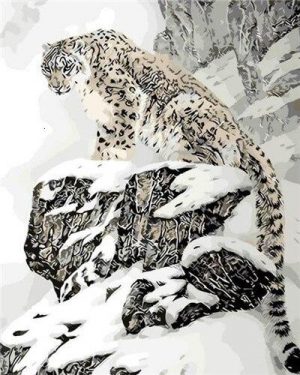 Leopard In Snow Paint By Numbers