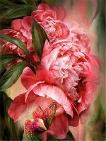 Pink Peonies And Butterfly Paint By Numbers