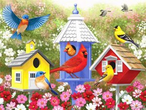 Colorful Birdhouses Bird Paint By Numbers