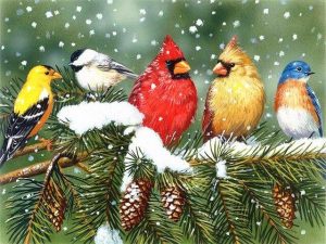 Birds In Winter Paint By Numbers