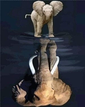 Elephant Water Reflection Paint By Numbers