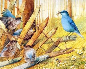 Blue Birds Paint By Numbers