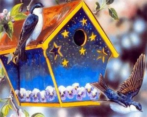 Birds Around Birdhouse Paint By Numbers