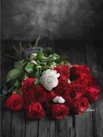 White And Red Roses Paint By Numbers