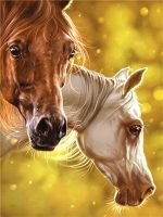 Stallion Horses Paint By Numbers