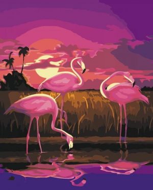 Pink Flamingo Birds Paint By Numbers