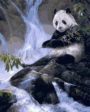 Panda In Waterfall Paint By Numbers