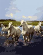 Wild White Horses Paint By Numbers