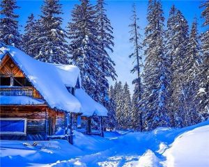 Forest Cabin Paint By Numbers