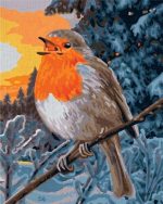 European Robin Paint By Numbers