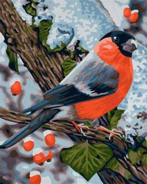 Bullfinch Bird On Branch Paint By Numbers
