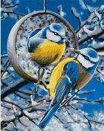 Eurasian Blue Tit Birds Paint By Numbers
