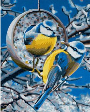 Eurasian Blue Tit Birds Paint By Numbers