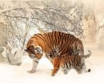 Tiger And Cub Paint By Numbers