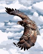 Flying Eagle Bird Paint By Numbers