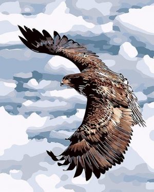 Flying Eagle Bird Paint By Numbers