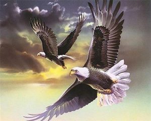 Two Flying Eagles Paint By Numbers