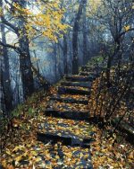 Forest Stairs Path Paint By Numbers