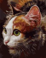 Green Eyes Cat Paint By Numbers