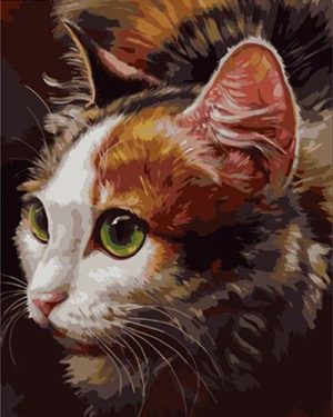 Green Eyes Cat Paint By Numbers
