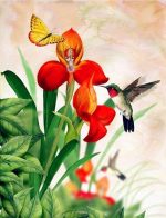 Orchid And Hummingbird Paint By Numbers
