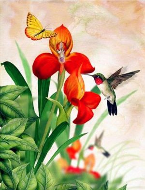 Orchid And Hummingbird Paint By Numbers