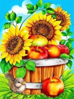 Sunflowers And Apples Paint By Numbers
