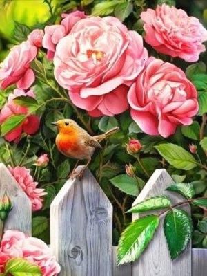 Bird And Pink Flowers Paint By Numbers