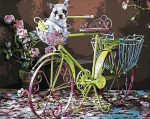 Pug On Bicycle Paint By Numbers