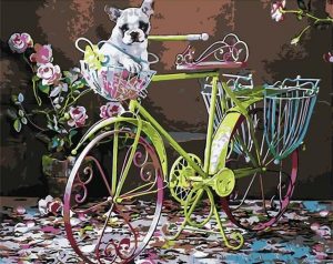 Pug On Bicycle Paint By Numbers