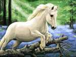 White Pony Horse In The Bluebell Wood Animals Paint By Numbers