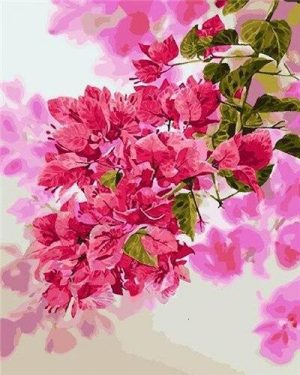 Pink Bougainvillea Branch Paint By Numbers