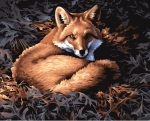 Wild Fox Paint By Numbers