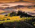 Tuscany Fields Paint By Numbers
