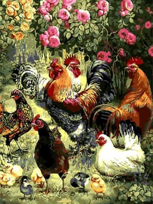 Cock Family Paint By Numbers