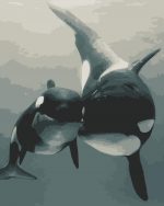 Whale Mother And Child Paint By Numbers