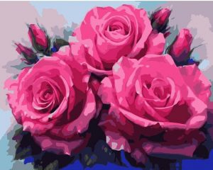 Pink Roses Paint By Numbers