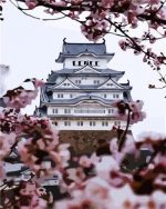 Himeji Castle Paint By Numbers