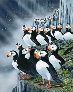 Puffin Birds Paint By Numbers