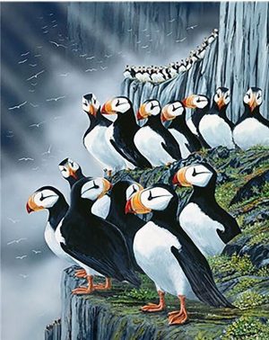 Puffin Birds Paint By Numbers