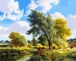 Nature Scenery Paint By Numbers