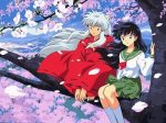 Inuyasha paint by numbers
