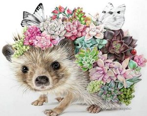 Hedgehog with Flowers Animals Paint By Numbers