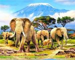 African Elephants Paint By Numbers