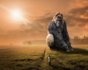 King Kong Paint By Numbers