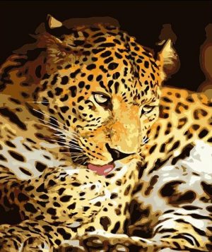Resting Leopard Animals Paint By Numbers