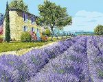Lavender Field Paint By Numbers