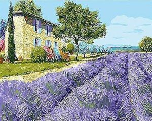 Lavender Field Paint By Numbers