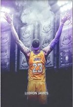 Lebron James Paint By Numbers